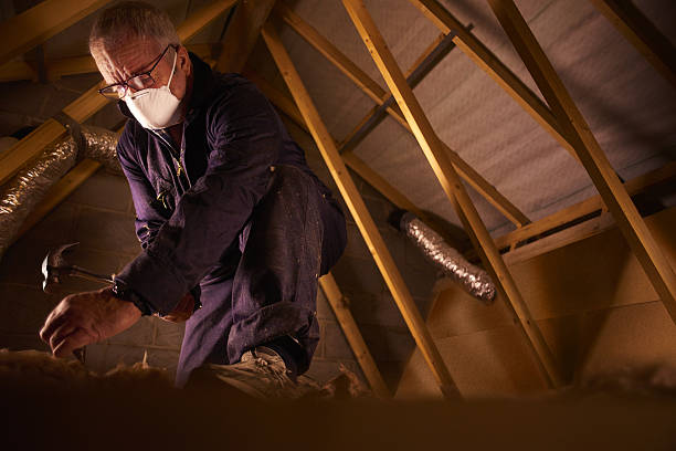 Best Insulation Materials and Products in Paris, KY